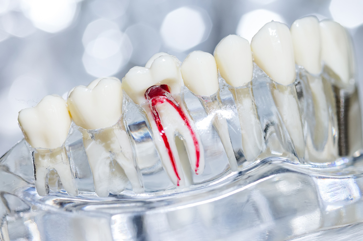 SORA DENTAL